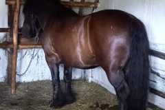 WhatsApp-Image-2024-06-28-at-19.20.19-1