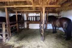 WhatsApp-Image-2024-06-28-at-19.20.19