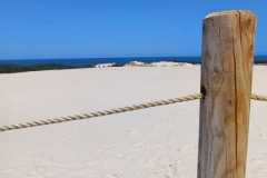 WhatsApp-Image-2024-06-29-at-12.52.06