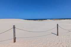 WhatsApp-Image-2024-06-29-at-12.52.09