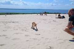 WhatsApp-Image-2024-06-29-at-12.57.41