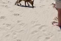 WhatsApp-Image-2024-06-29-at-12.57.59