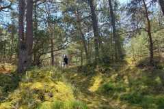 WhatsApp-Image-2024-06-29-at-12.59.27