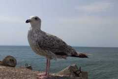 WhatsApp-Image-2024-06-30-at-23.58.24-1